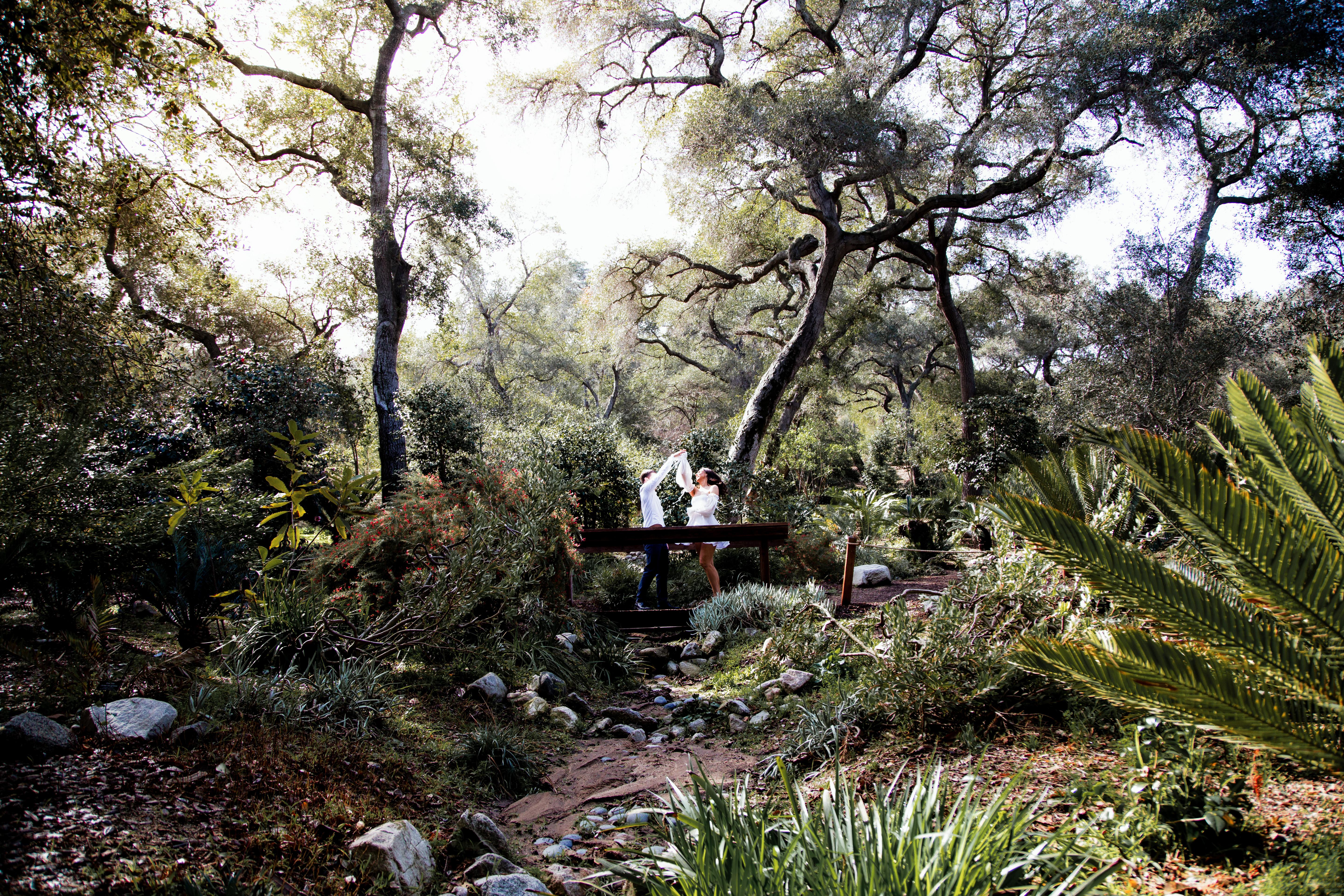 The Wedding Website of Shoshana Rand and Zak Koenig