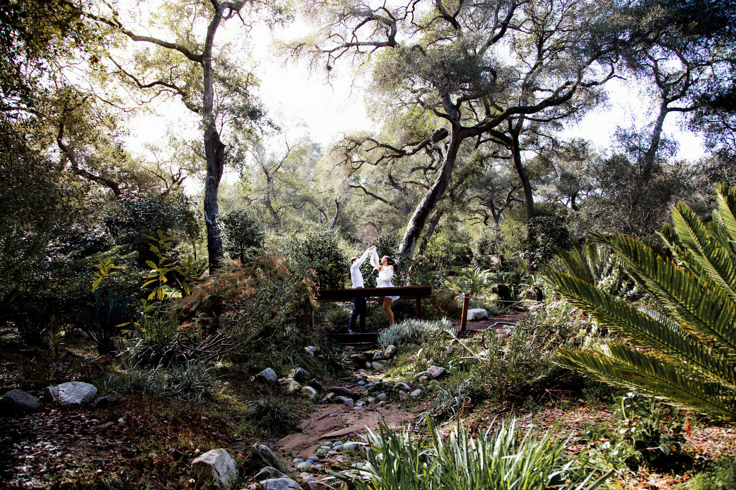 The Wedding Website of Shoshana Rand and Zak Koenig