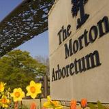 The Morton Arboretum