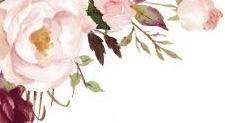 Footer image