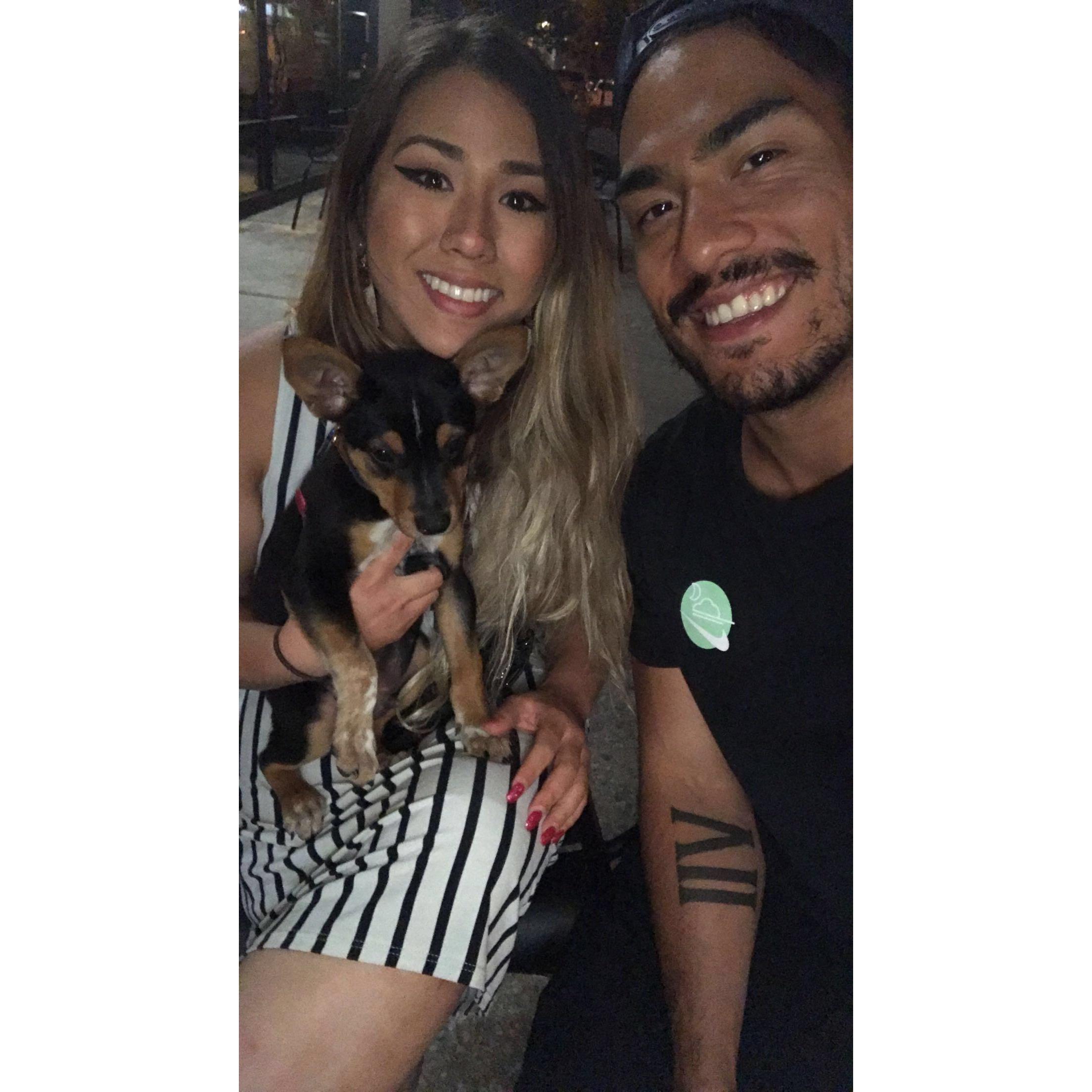 First night with Koa. Washington. August, 2018.