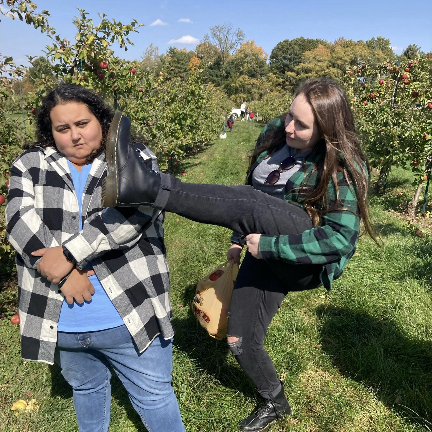 Apple orchard with people from work (2022)