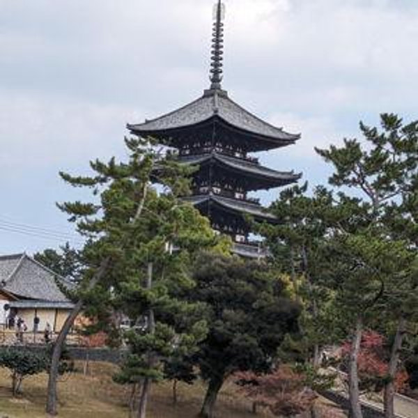 Japan Honeymoon Fund