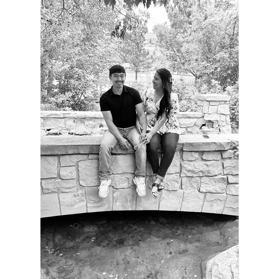 Engagement pic