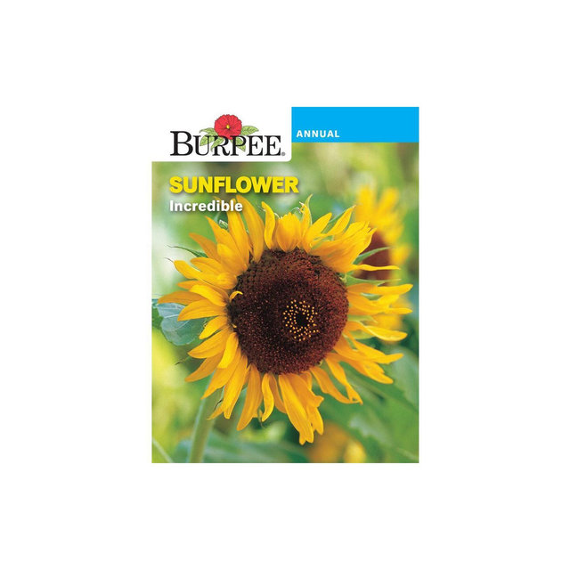Burpee Sunflower Yellow Flower Seeds