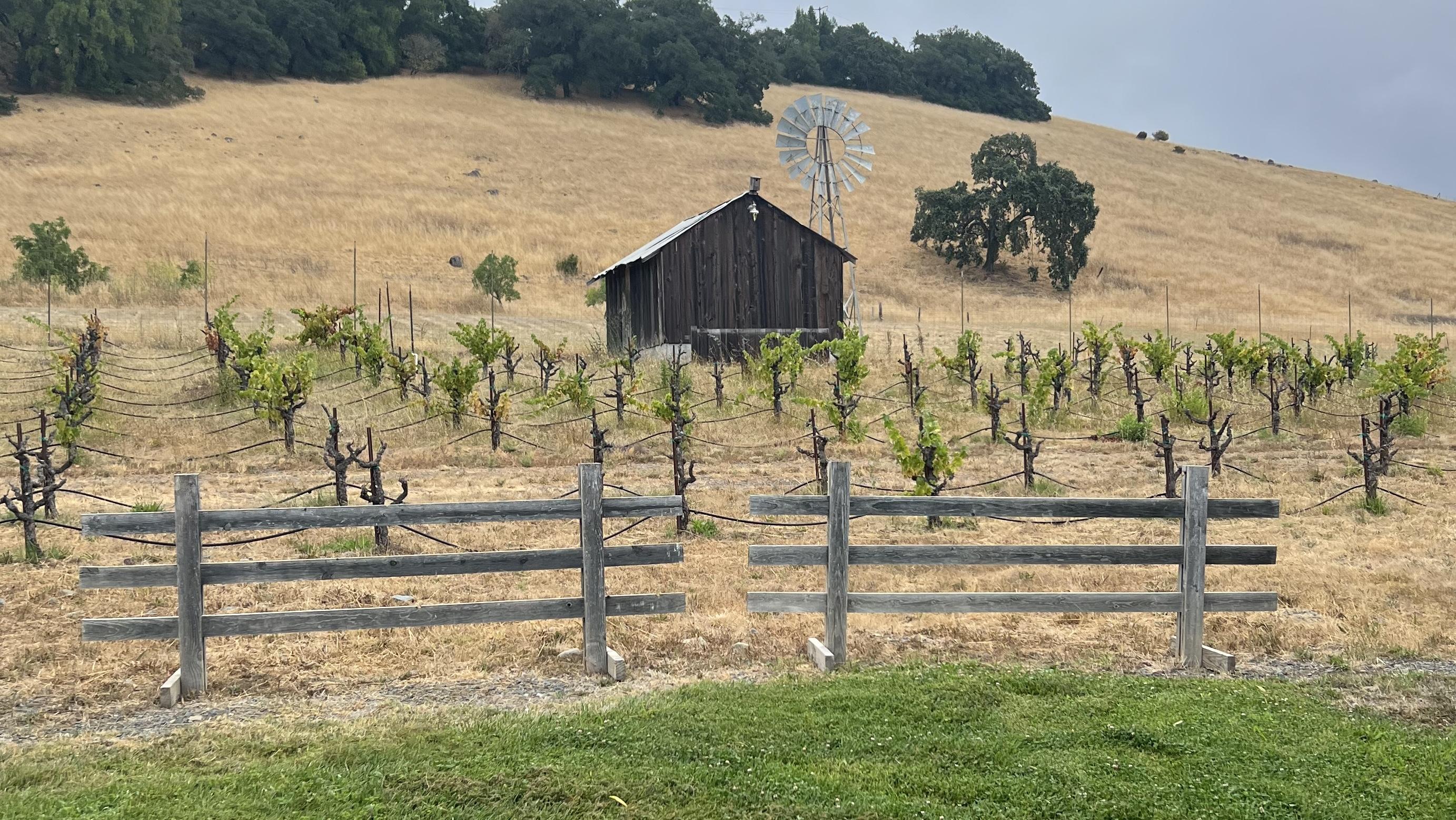 The Wedding Website of Meghan Healy and Brandon Hofer