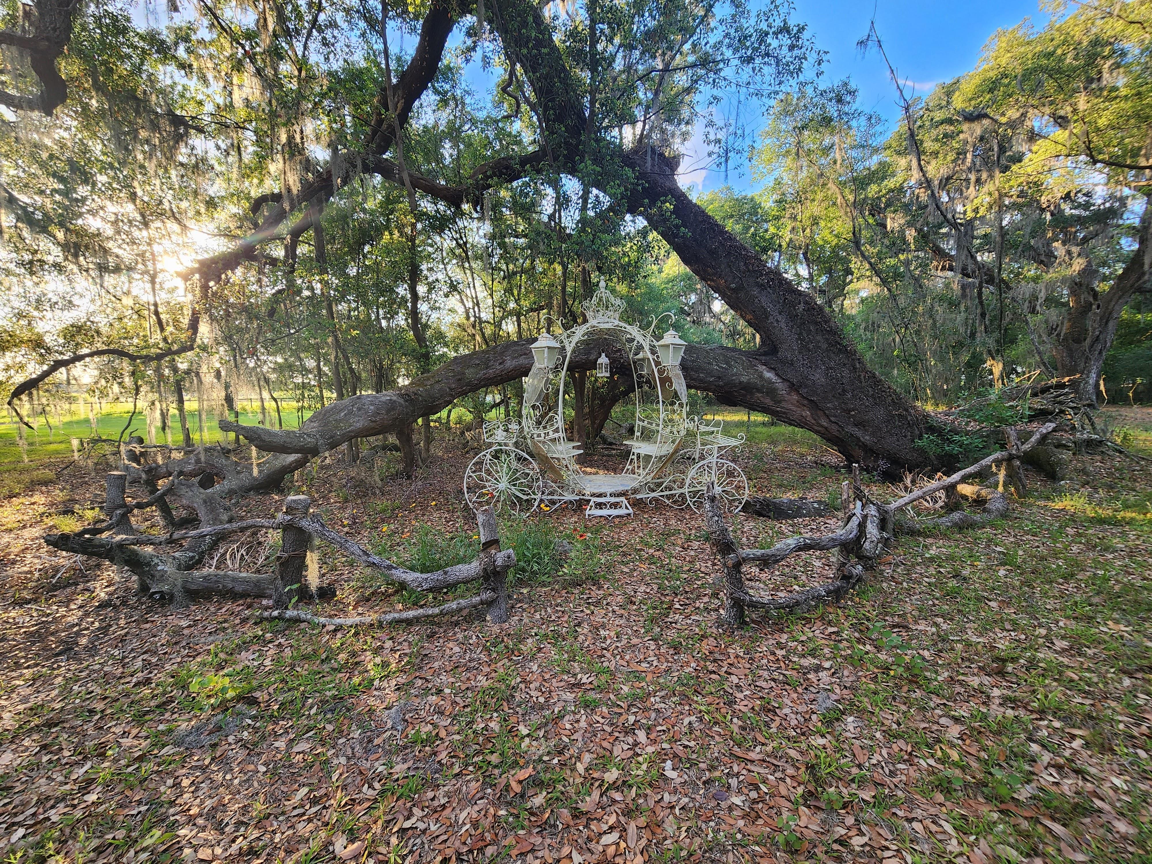 The Wedding Website of Kayla MacPhee and Delaney Shadgett