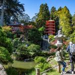 San Francisco Botanical Garden