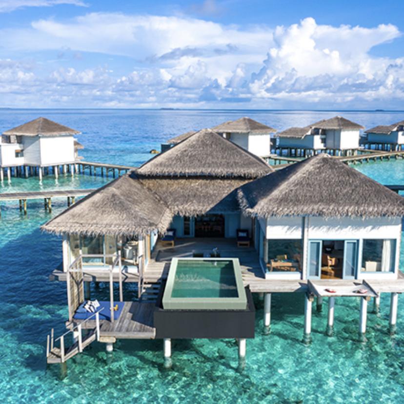 Honeymoon Fund