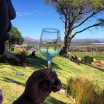 Cape Point Vineyards Estate