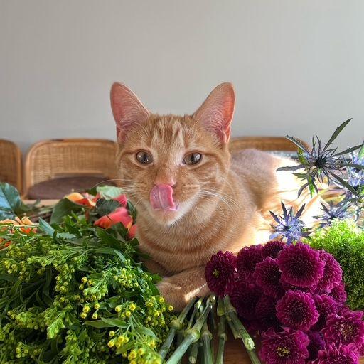 Our sweet Bobby McGee