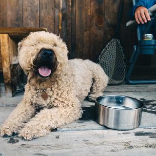 Boomer 8 Dog Bowl