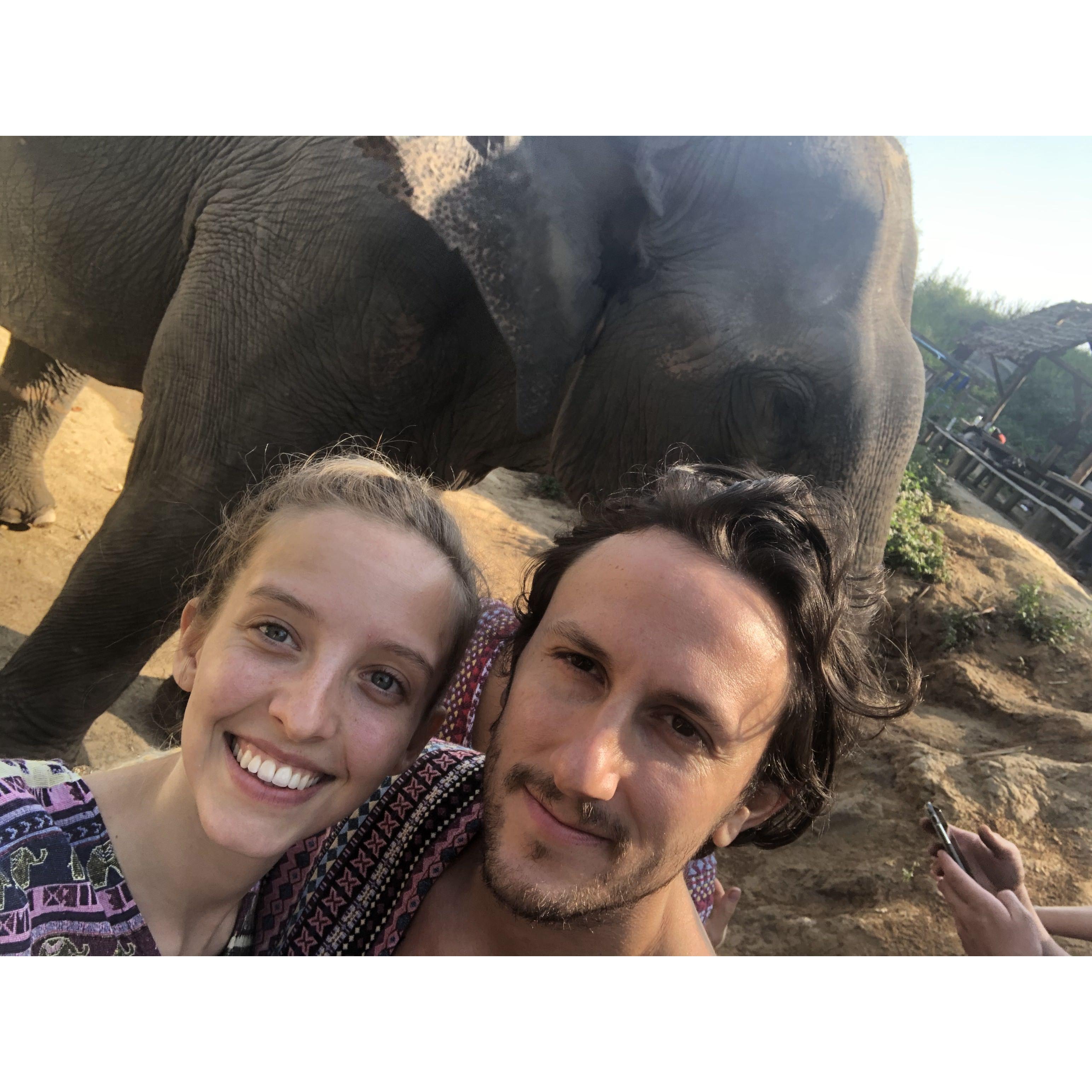 With elephants in Chiang Mai, Thailand
