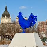 Sculpture garden