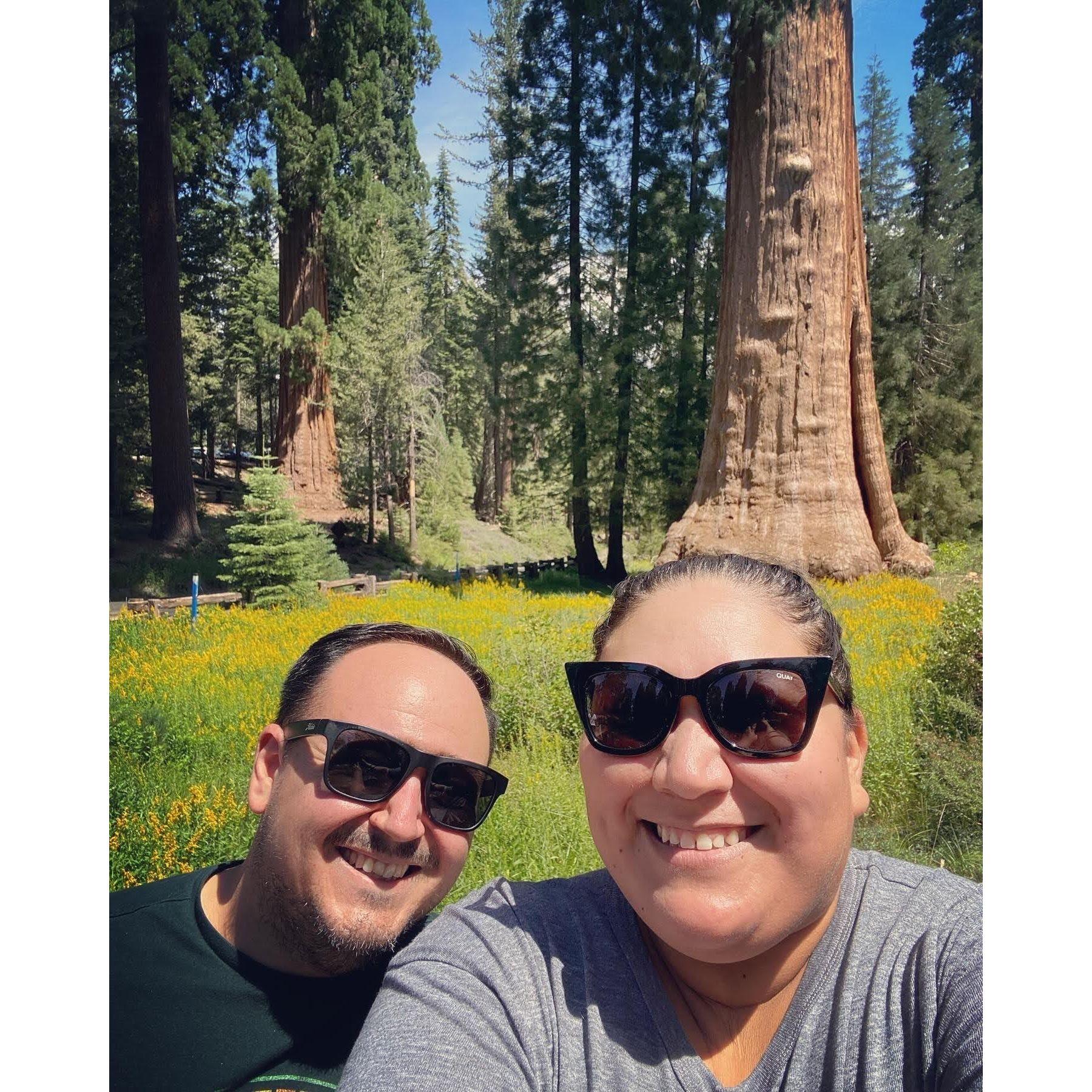 Isabelle's birthday camping trip at Sequoia National Park.