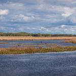 Montezuma National Wildlife Refuge