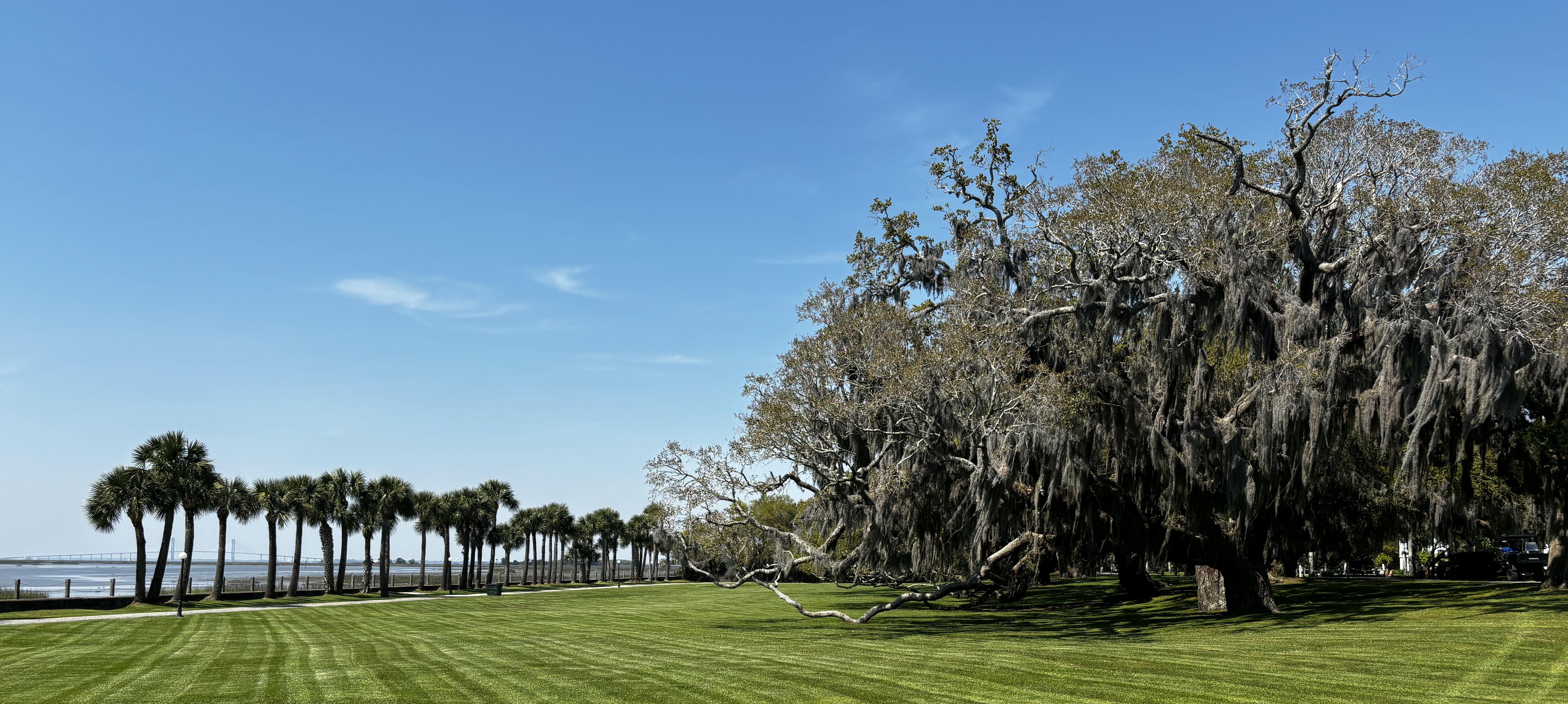 The Wedding Website of Ashlei Alig and Davis Layton