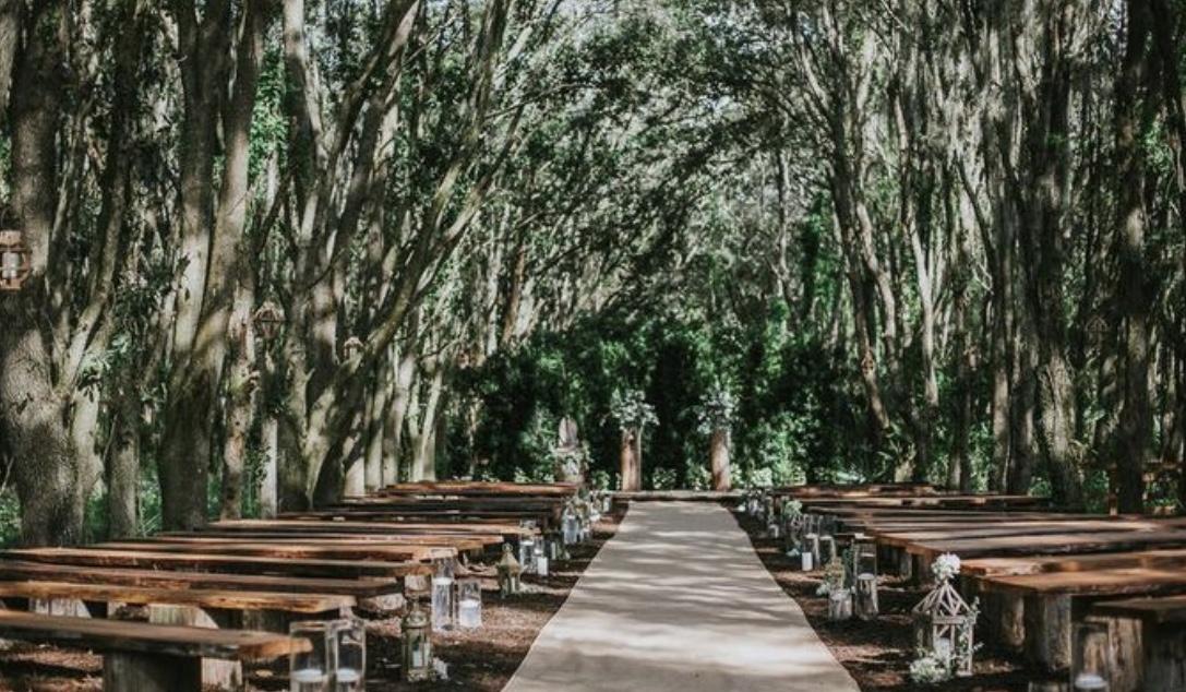 The Wedding Website of Hailey Dickson and Kevin Klimczak