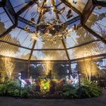 Airlie Gardens