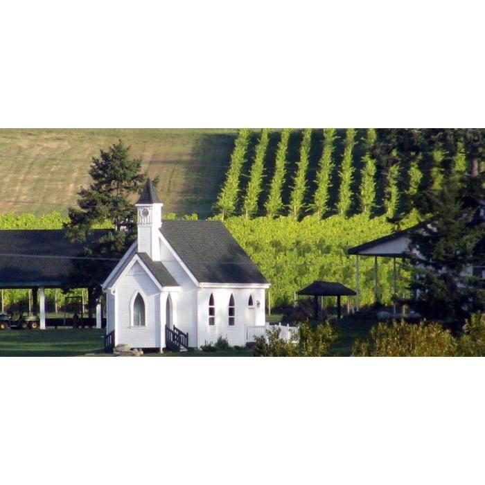 San Juan Vineyard