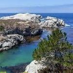 Point Lobos State Natural Reserve
