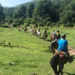 Mountain View Ranch
