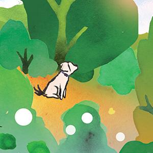 Snack and Treats Fund