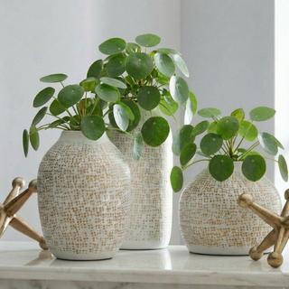 Vinburn 5-Piece Accessory Set