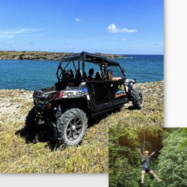 Honeymoon Island Buggy Tour