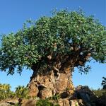 Disney's Animal Kingdom Theme Park