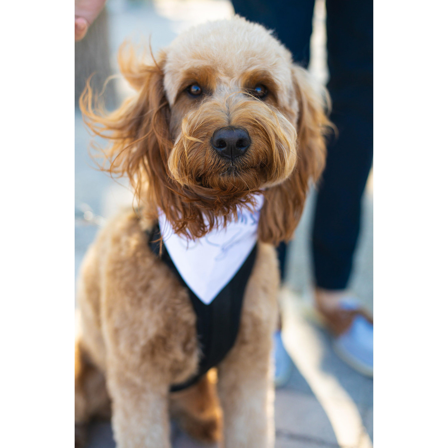 Mia was the star of the show at our engagement!