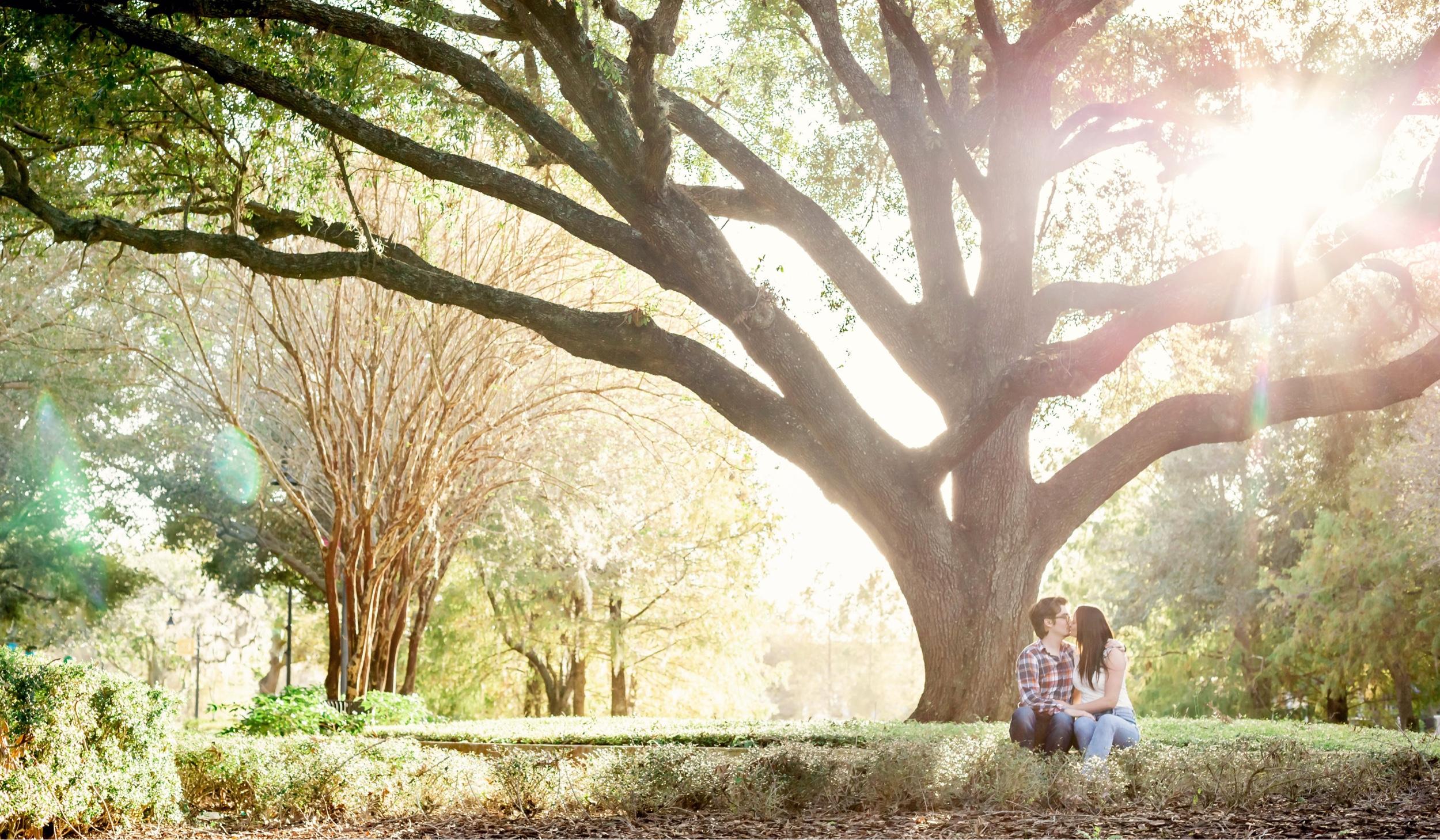 Hero Slideshow Image 0