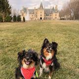 Biltmore Estate