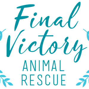 Final Victory Animal Rescue Donation