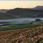 Azari Vineyards & Winery