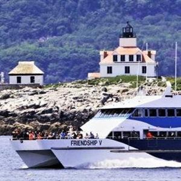 Whale Watching Tour in Bar Harbor, Maine