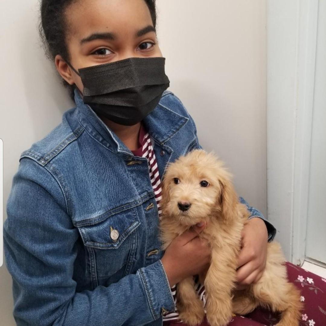The Day we brought Bella home! March 2021