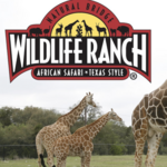 Natural Bridge Wildlife Ranch