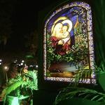 41st Annual Christmas in the Park