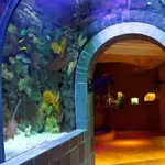 The Dallas World Aquarium