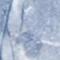 Blue Granite