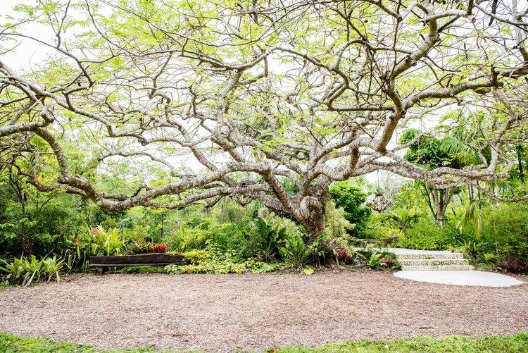 The Wedding Website of Aja Galioto and Nick Smodish