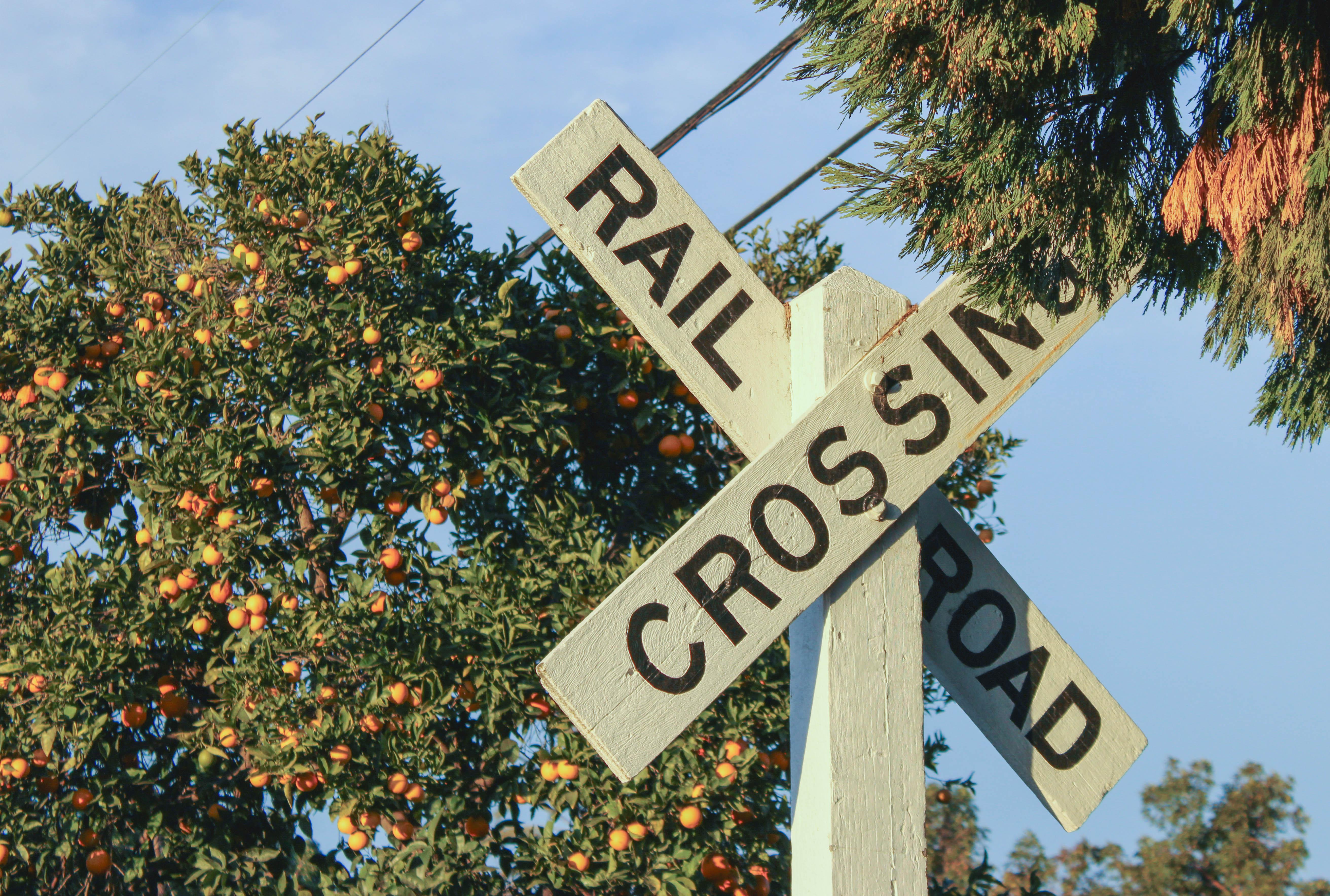 The Wedding Website of Genevieve Engelhorn and Brendan Huiberts