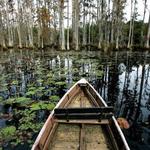 Cypress Gardens Road