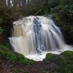 Mill Creek Falls