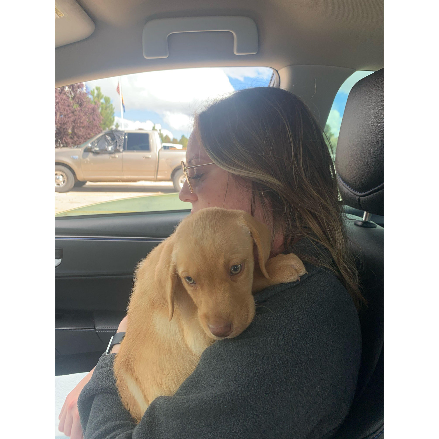 The day we brought home Bentley 10/09/2022!!