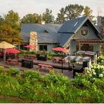 JOLO Winery and Vineyards with Restaurant