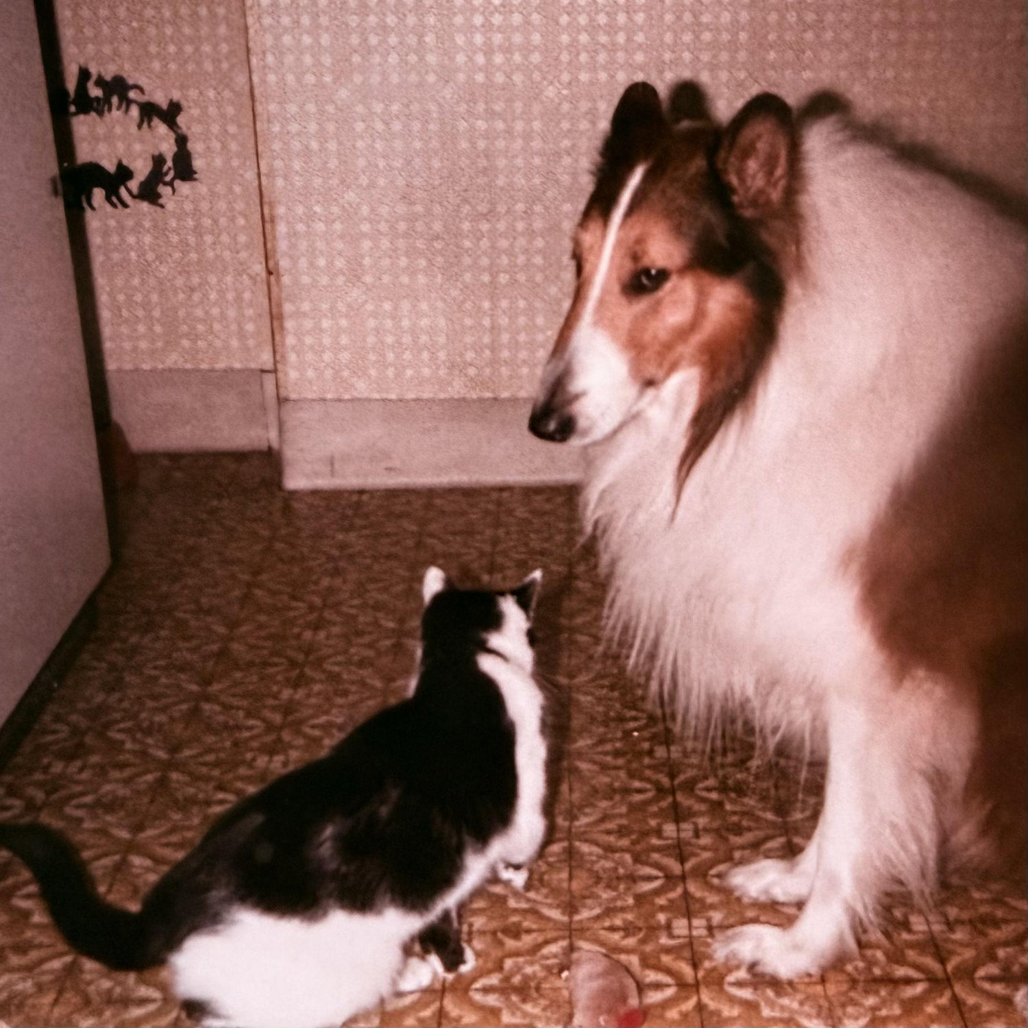 Cat and Benjamin - 547 Third Floor