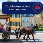 Horse-Drawn Carriage Tour of Downtown Charleston