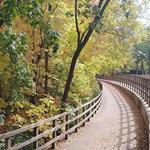 Winchell Trail